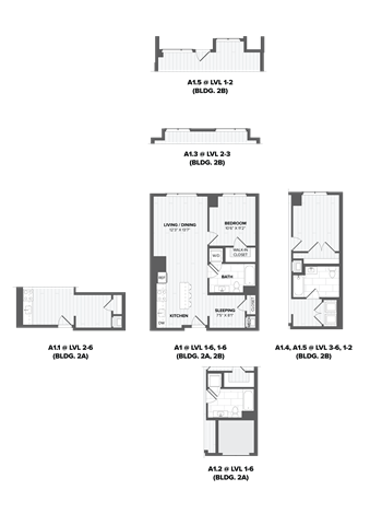 1 Bed/1 Bath - A1
